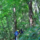 지리산 거림→세석평전→한신계곡→백무동 이미지