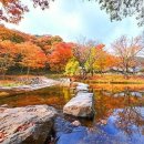 마곡사 주차장2 이미지