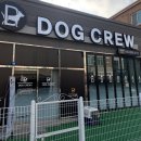 독크루 첨단점 이미지