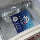 손질 생선 추천 괴정시장 부산생선 장문볼락 고등어