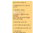 디자인바이데이즈