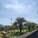 글라드 세화 | 제주도 ‘글라드세화’