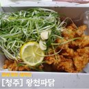네네치킨 율량점 | 청주 율량동 치킨맛집 왕천파닭 포장후기