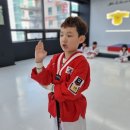 품 태권도 이미지