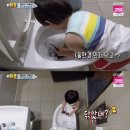 악어화장실 이미지