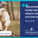 세바코리아 이미지