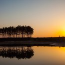 운여해변 이미지