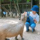 킹콩 게스트 하우스 | 베트남 푸꾸옥 여행 물가 체감 기준 최신 정보