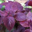 광도한의원 이미지