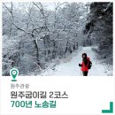 원주굽이길 2코스 700년 노송길 | [원주 가볼 만한 곳] 원주굽이길 2코스 700년 노송길