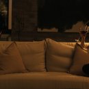 컴패니언 이미지