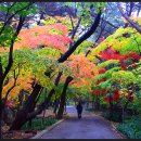 금강공원3 이미지