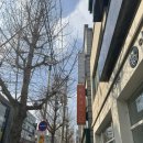 동해시-61 | [동해 맛집] 프라이빗한 분위기, 맛까지 잡은 ’사생활‘ 방문 후기