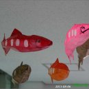 토속어류생태복원체험관 이미지