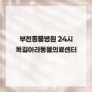 옥길아라동물의료센터 네이버블로그