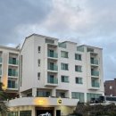 팜파스포차 | [25.1월 제주] 제주 공항 근처 숙소 팜파스 호텔 트리플룸 가족숙소 추천 가성비숙소 내돈내산 여기어때...