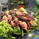 [금천구 시흥동] 제철 해산물 포차 ‘영일도’ (또또 또 간 집)
