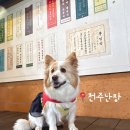 대형견 이발소 | 전주 반려동물 동반 여행 추천, 한옥마을 '전주난장' 중형견 내돈내산 솔직후기 / 애견동반 여행 코스