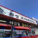 바람골코다리 이미지