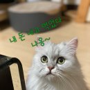 뚜레쥬르망우역점