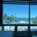 강릉댕댕이애견펜션블루 이미지