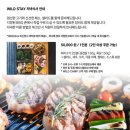 SP-5E57 | #201.평창 달밭리트릿(Dalbot Retreat)_강원도 대장급 초신생 캠핑장 프리오픈 방문후기(26.8.25~26)