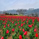 피울공원
