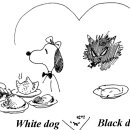 (연세대 네비게이토) Black dog and White dog 이야기 이미지