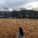 남산자동차부속골목 이미지