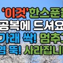 꿀과 ‘이것’한스푼을 아침공복에 드셔요! 기침가래 싹! 멈추고 관절염 뚝! 사라집니다-시니어일상톡톡 이미지