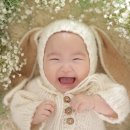 나무스튜디오 이미지