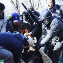 꼬마동물병원 이미지