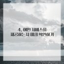 우리 애견 미용실 이미지