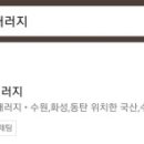 고릴라게러지