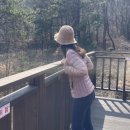 바다향기수목원(도서식물원) 이미지