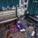 팬시나라 이미지