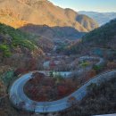단양망치돈까스 | 겨울 오기 전 단양에서 마지막 가을 보내기🍂🤎