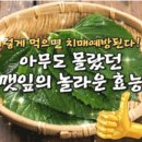 건강하자＞ 치매 예방에 좋은 깻잎 이미지