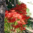 증산진료소 이미지