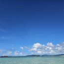 환상의섬 | 이시가키지마 환상의 섬 방문 후기 (가족·커플·친구 모두 추천)