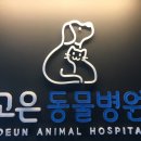 고은동물병원 이미지