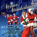 Winter Wonderland - Bing Crosby - 이미지