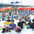 칠곡보야외물놀이장 이미지