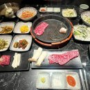 서경한우 - 용인시 처인구 | 서경한우
