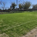 오천그린광장 이미지