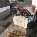 광개토대왕공인중개사사무소 이미지