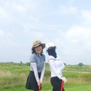 파크골프 이미지