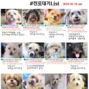 조항일동물병원 이미지