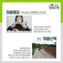 자연마주