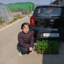 제일이용소 이미지